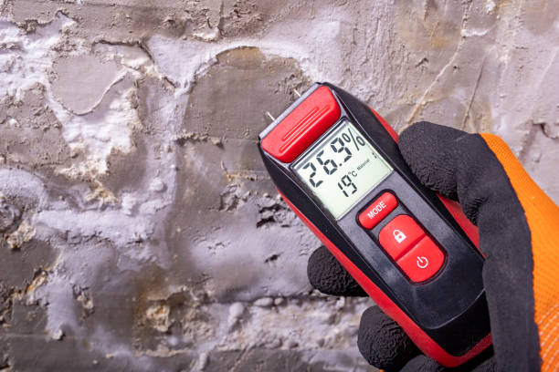 Best Certified Mold Removal  in Milford, IA