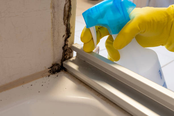 Mold Testing and Removal in Milford, IA