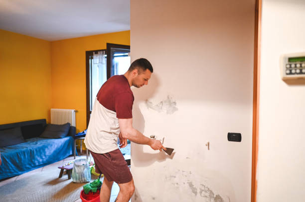 Best Mold Remediation  in Milford, IA