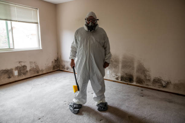Office Mold Removal Services in Milford, IA